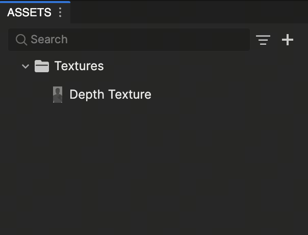 assets panel