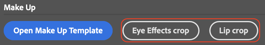 eye makeup cutting and lipstick cutting