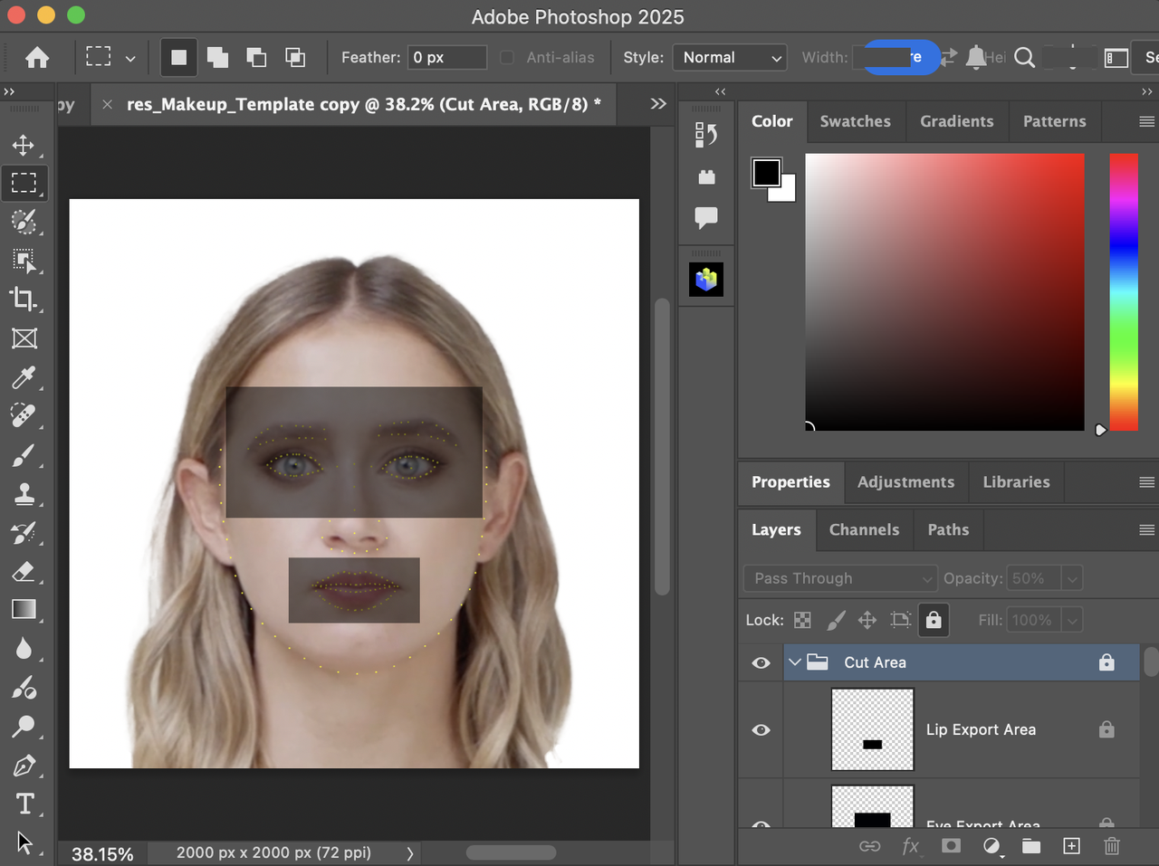 makeup template imported