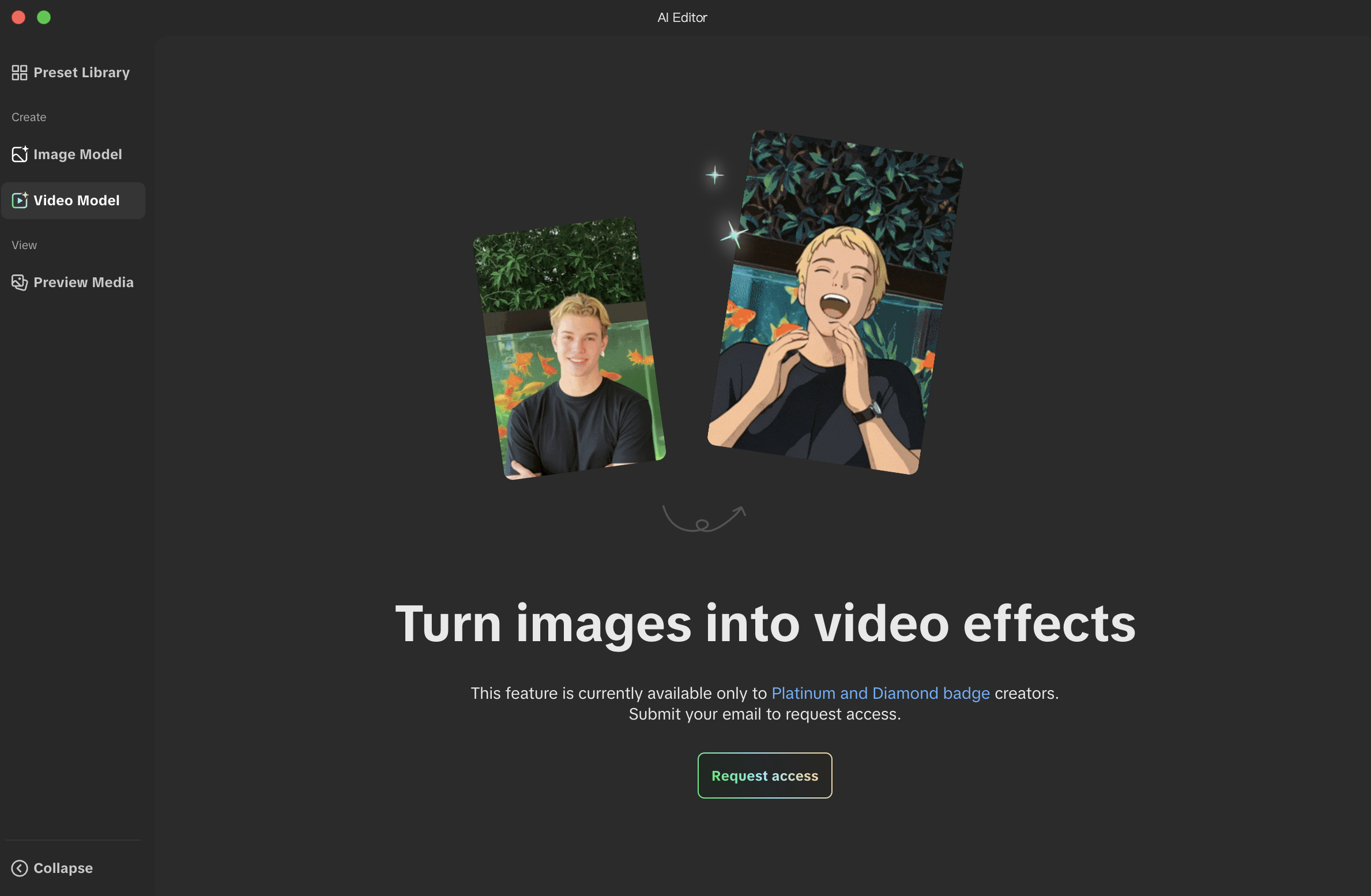 video model