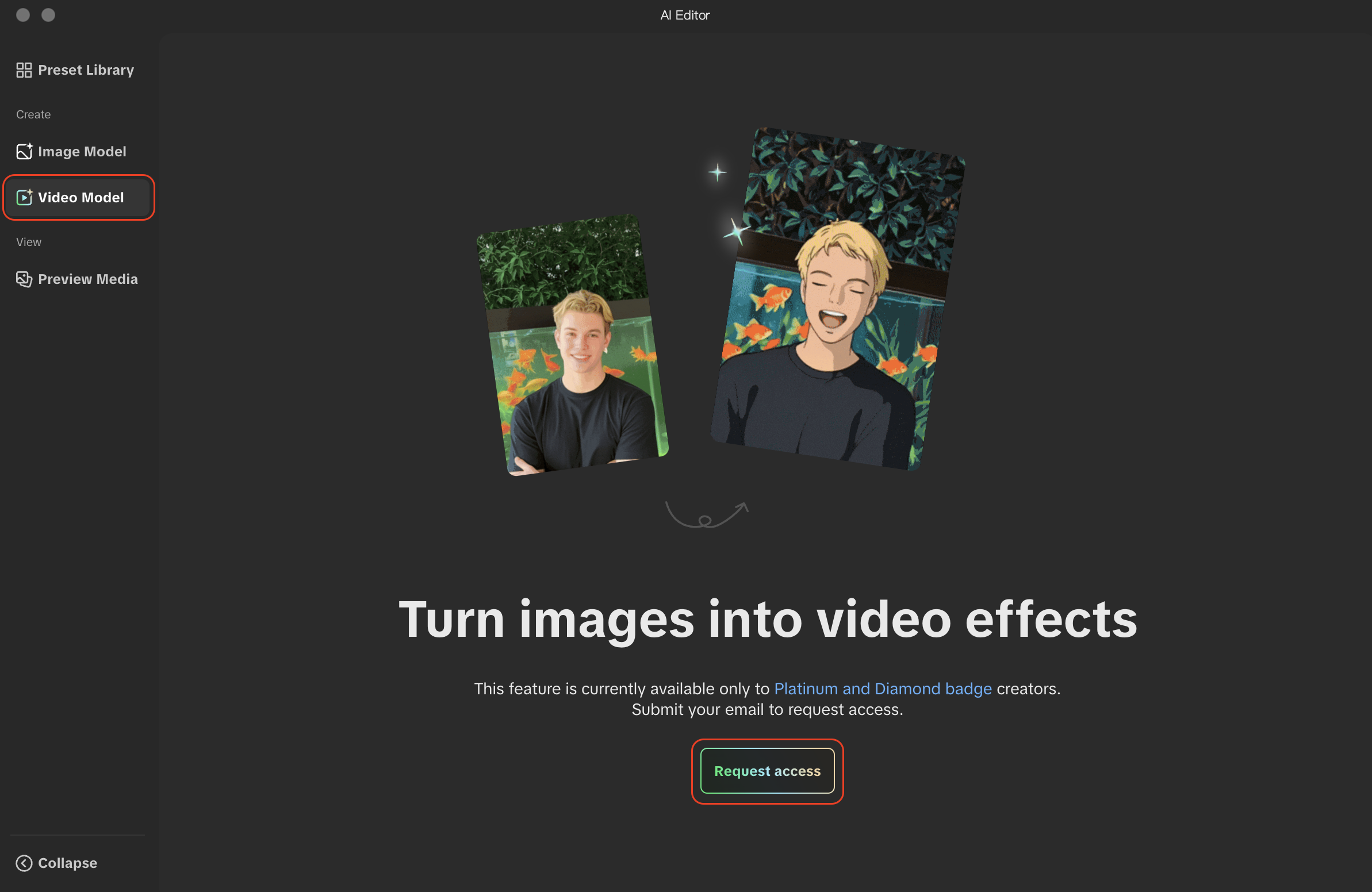 video model request access