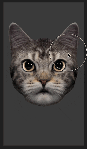 cat face reshape demo