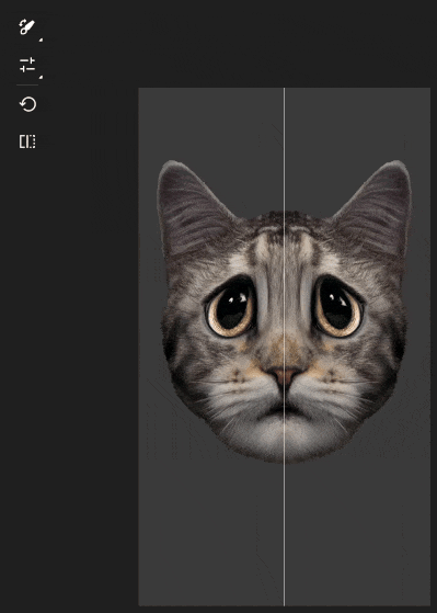 compare brush adjustments