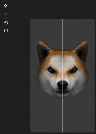 compare brush adjustments