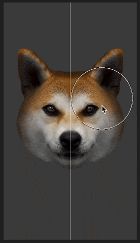 dog face reshape demo