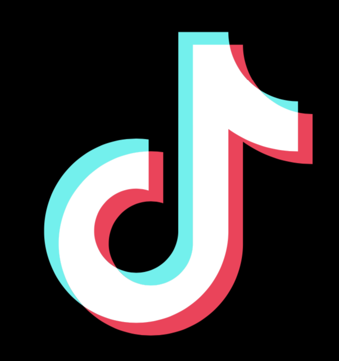 Protecting the integrity of TikTok during Croatian elections