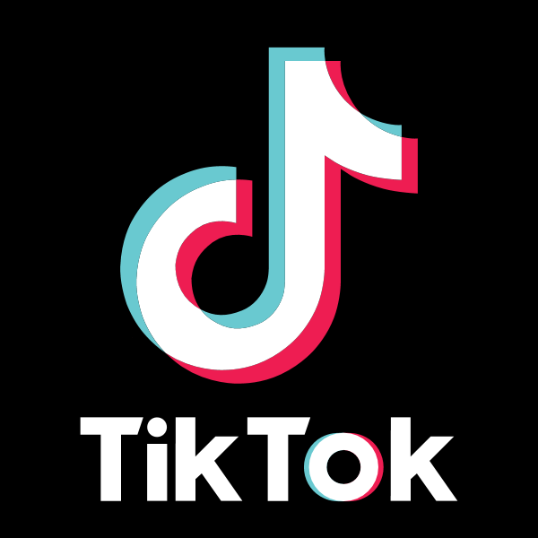 How TikTok counters deceptive behaviour